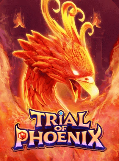 Live casino game cover from cg77